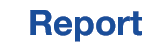 Report